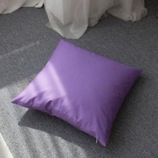 아트박스/샤이닝홈 팬톤 소파 쿠션(솜포함) 50x50 D퍼플 2P