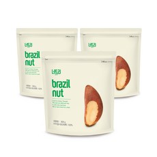 너트리 브라질너트 300g 3개 완태