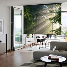 아라크네 빔스크린 롤타입 블랙프리미엄 가로160cm x 세로130cm (80인치), (80인치)가로160cm x 세로130cm