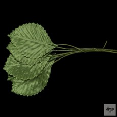 직코몰 1000 나뭇잎 인조식물