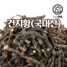 대흥한방 건지황 국내산 300g, 1개