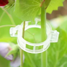 식물 지지 클립 재사용 튼튼한 정원 식물 고정 클립 텃밭 가지