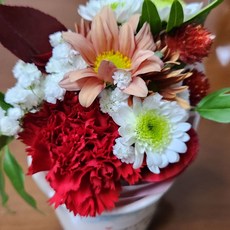 플랜트마스터 꼬마 제철생화 납골당 유치원 단체행사 발표회 랜덤발송 미리 주문해주세요, 1개, 복합