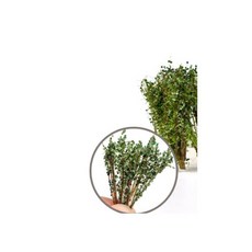 건축 모형 재료 미니어처 밀리터리 디오라마 모델 모래 테이블 만들기 장면 DIY 관목 잔디 식생 스케일, Dark green, 1개