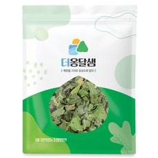 더옹달샘 국산 뽕나무 상엽 뽕잎 500g, 1개