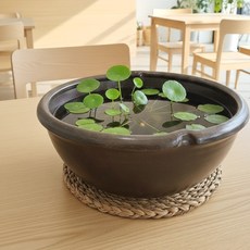 화수반 고급 옹기 수반 항아리 질그릇 구피 어항 가습기 자배기 수경화분 플랜테리어, 옹기수반