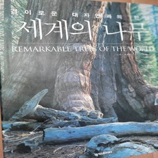 세계의 나무/넥서스