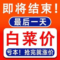 廚房水槽過濾網 一次性 地漏網 洗碗池 隔渣袋, 1個, 創業失敗+ 清倉處理 +庫存不多瞭,店長推薦: 散裝1根 已售5%, N/A