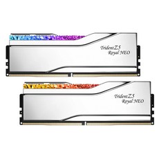 G.SKILL DDR5-6000 CL28 TRIDENT Z5 ROYAL NEO 실버 패키지 (32GB(16Gx2)), 1