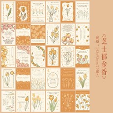 【手工紙】奶油玫瑰盒裝明信片複古插畵浪漫文藝錶白裝飾留言祝福卡片禮物 RVOV, 芝士鬱金香, 1個