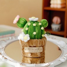 제너럴케이 모루 꽃 화분 만들기 DIY 세트, 1세트, 선인장