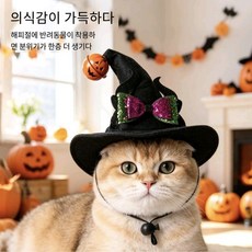 Lavitree강아지 고양이 귀여운 웃긴 모자, 1개, E