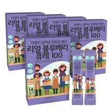 리틀앤마더 리얼 블루베리 퓨레 20g 14포 /(총5박스) 70포 /1포당 블루베리 40알