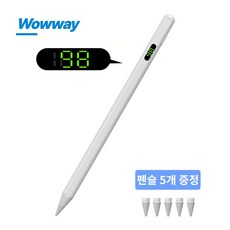 WOWWAY 아이패드 펜슬 터치펜 애플 iPad 호환용 LED 디스플레이형 블루투스형 usb-c 스마트펜, 1개, 화이트-디스플레이형