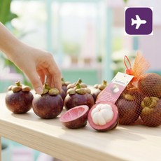 [푸른하늘] 3일의 고집 깐깐하게 선별한 태국 생 망고스틴, 1개, 500g(5-7과)