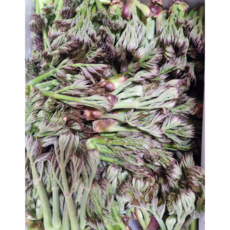 특상품 산지직송 당일수확 국내산 참두릅, 1kg, 1개