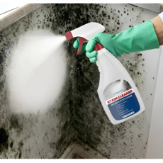 4건[Coupang홈케어부문판매1위]살균율 99.8%!벽면 얼룩 제거 곰팡이 제거 초속 곰팡이 제거제욕실 틈새/실리콘 테두리/변기 받침대/세탁기 패킹/주방 천장, 1개, 237g