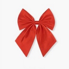 살림방 리본넥타이 레드 주니어넥타이