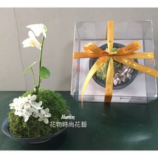 Blumen 永生花試管花器禮盒, 14x12cm