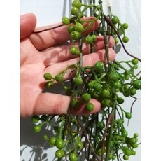 小綠果子垂藤仿真人造花 垂藤花藤 仿真植物 垂葉壁掛裝飾, 1個
