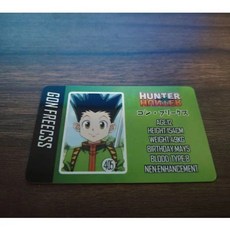 헌터헌터 헌헌 캐릭터 신분증 자격증 카드 곤 키르아 크라피카 레오리오 히소카, C