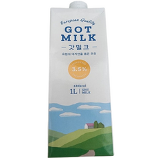 갓 밀크 멸균우유, 1L, 9개