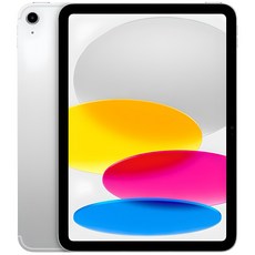Apple 정품 2022 아이패드 10세대, 실버, 256GB, Wi-Fi+Cellular