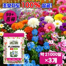 [발아율 99.99%]가든 프리미엄 씨앗 세트 혼합 꽃씨앗 봄꽃 씨앗 발코니 꽃씨 사계절 꽃씨앗 꽃바다조합씨앗 꽃밭 정원 다년생꽃씨앗세트, 3개