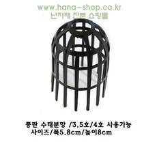 수태분망 풍란전용분망, 풍란