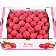 노마진특가 당일수확 꿀과즙 자두, 1개, 1kg