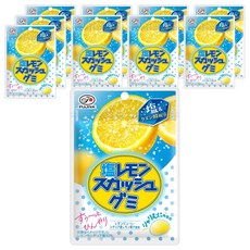 후지야 소금 레몬 스쿼시 구미, 57g, 10개