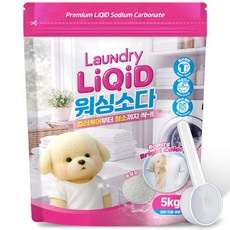 워싱소다 리퀴드 초강력 얼룩제거 5kg 대용량 세탁보조 100% 탄산소다, 1개