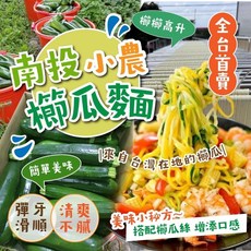 萬泰豐 全台首賣櫛瓜麵，整條櫛瓜加皮製麵，高纖健康麵條，團購優惠, 1個