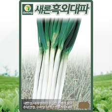 다농 새론흑외대파 씨앗 20g 흑병계 대파씨 종자, 4개