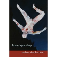 (영문도서) how to spear sleep Paperback, Shearsman Books, English, 9781848617414