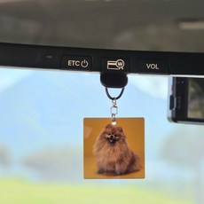 차량 사진걸이 차량용 액자 차사진꾸미기 룸미러 포토 액자 자동차 남자친구 선물, 옵션, 1개, 하트, 4.8x4.3