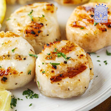 가리비관자 관자살 가리비살 통관자, 1개, 1kg 26/30