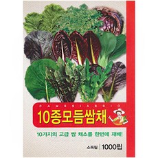 10종 모듬 쌈채소 씨앗, 1개 1개