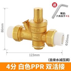 PPR自來水管減壓閥 傢用穩壓閥熱水器恆壓閥