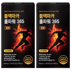 [정품] 블랙마카 아르기닌 풀파워 365, 2개, 120정