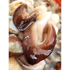 [산지직송_여수] 청정바다 신선함을 그대로 여수 새조개 500g(손질 후), 1세트, 500