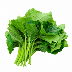 당일수확 국내산 제철 햇 호박잎 500g, 1개