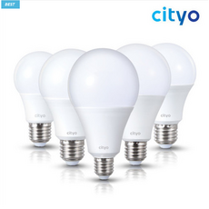 LED 전구 벌브 20W 주광색 전구색 PC바디 엘이디 램프 /씨티, 1개