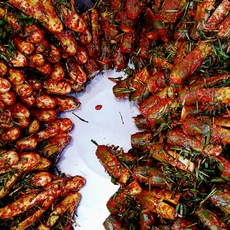 전라도 시골종가에서 담그는 국산 오이소박이 2.2kg/판매자 다른 김치도 많습니다, 2.2kg, 1개