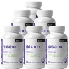 본초연 빌베리 100 식약청HACCP인증, 6개, 120정