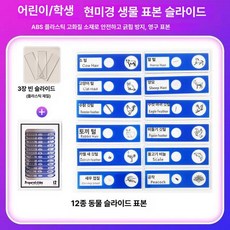 프레파라트 48종 표본 실험도구 식물 현미경 체험, 12장 표본 블루, 기본 색상