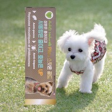 [필루] 네츄럴 스팟온 골드 1ml (소형견용/1p), 1개