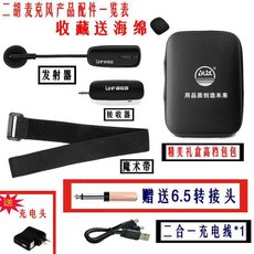 색소폰 무선 핀마이크 방송용 1대 유튜브 충전식 충전 증폭 2.4G 악기 강의용 360도, 빼빼로 얼후피리 바이올린 밀