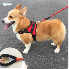 Ogfaour 강아지하네스 강아지 애견목줄 조끼스타일 개줄 푸들 프렌치불독 웰시코기 소형견 애완용품 리드줄 Ogfaour 강아지하네스 강아지 애견목줄 조끼스타일 개줄 푸들 프렌치불, C03-M추천 22-35근(가슴둘레 52-66cm)