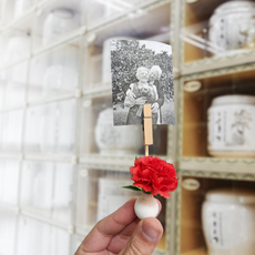 한국생산 금명 레드 카네이션 메세지홀더 사진꽂이 납골당꽃 납골당 꾸미기 봉안당 추모장식 어버이날 성묘 기억 추모, 빨강색